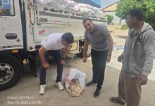 ضربات استباقية قوية ضد تجار الموت