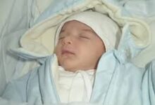 نبض الوطن» تهنئ نقيب العاملين بمجلس الوزراء بقدوم حفيده الأول «آدم مصطفى»