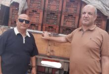 قبل وصولها إلى الأسواق .. الرقابة تضبط 7.2 طن سردين فاسد بمطوبس