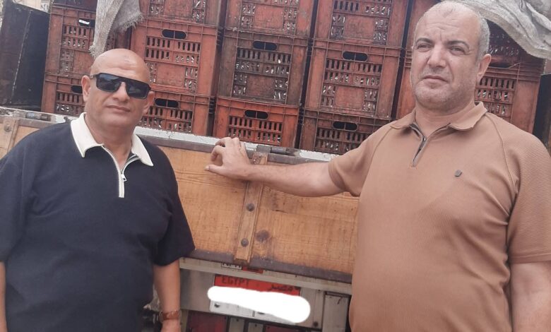 قبل وصولها إلى الأسواق .. الرقابة تضبط 7.2 طن سردين فاسد بمطوبس