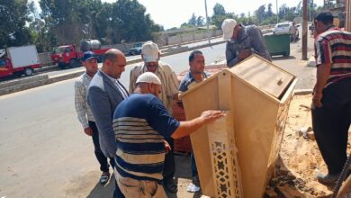 "جميلة يا بلدي" تواصل تغيير وجه دسوق.. رئيس المدينة يتابع ميدانياً تركيب صناديق قمامة جديدة بطريق عمر أبو العز