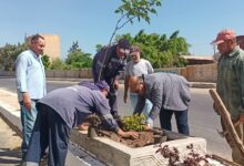  " السلخانة " في دسوق تتزين بالمساحات الخضراء