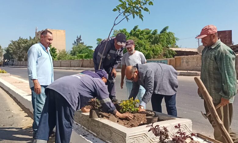  " السلخانة " في دسوق تتزين بالمساحات الخضراء