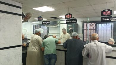 دسوق تنهي 59 نموذج تصالح وترصد 14 متغيرًا مكانيًا