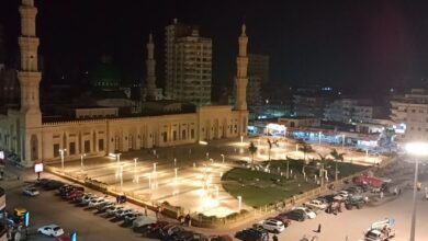 دسوق تتزين استعداداً للمولد الإبراهيمي