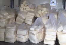 ضبط 420 كيلو جبنة موتزريلا مجهولة المصدر خلال احتفالات المولد الإبراهيمي بدسوق